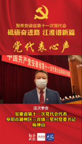 安徽省第十一次党代会代表 阜阳市颍州区三合镇三星村党委书记 杨坤山