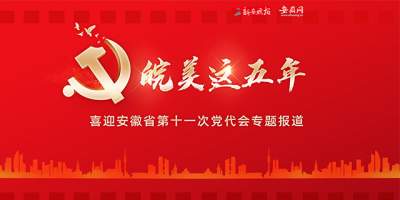 安徽省第十一次黨代會
