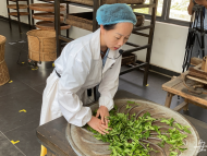 【皖美這五年】走進黃山祁門：做人人都喝得起的好紅茶