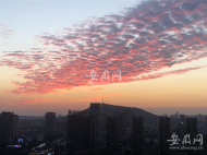 合肥天空出現絢爛晚霞（圖）