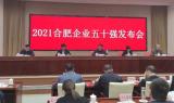 合肥企业50强发布！巢湖市这家企业榜上有名