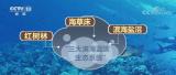 【共赴春城之约】科普 | 碳汇：用生态手段减少温室气体浓度