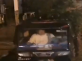 安庆：71岁大爷半夜盗走沿街店铺盆景