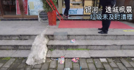 存在這些問題 六安一小區被約談責令整改