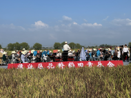 “逐夢百年路 奮進(jìn)新征程” 蕪湖市灣沚區(qū)花橋稻田音樂會(huì)精彩開演