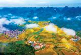 丰收中国 最美画卷（祖国颂·共赏好风景）