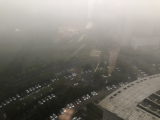 合肥大雾！能见度不足200米（图）