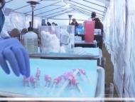 國慶假期過半，合肥疾控發布重要提醒