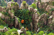 羅太虎:九九重陽(yáng)話老年