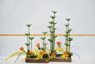 嚴韌：剎那芳華