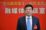 安徽省党代表、六安市叶集区委书记赵珞：建设皖豫边界中部崛起示范区