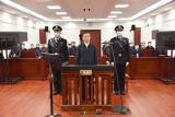 文化和旅游部原党组副书记、副部长李金早受贿案一审开庭