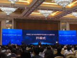 中国工业与应用数学领域大咖齐聚合肥 聚焦工业中急需解决的难点和问题