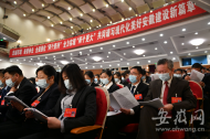 省第十一次黨代會｜安徽積極推進長三角一體化發展 