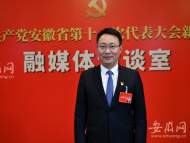 安徽省黨代表、界首市委書記何逢陽：繼續(xù)把創(chuàng)新作為主攻的方向