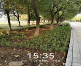 六安市淠河管理处：治理黄土裸露 提升美化景观