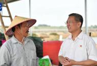 現場短新聞短視頻大賽｜合肥45名“老干部”到村任職助力鄉村振興
