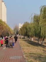 冷空气来袭！12月1日早晨安徽省最低气温-3℃