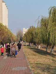 冷空氣來襲！12月1日早晨安徽省最低氣溫-3℃