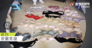 蕪湖一男子多次盜竊女同事內(nèi)衣被抓