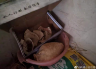 合伙盜竊古墓葬 樅陽警方抓獲4名嫌疑人