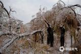 最低-4～-2℃！安徽这两天有大风和强降温