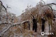 最低-4～-2℃！安徽這兩天有大風和強降溫