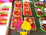 长丰草莓抢鲜上市 想品尝“亲民”价草莓还需再等等