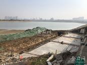 網友建議柏堰湖開放游泳   合肥官方回復