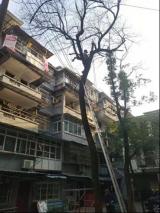 迎江区钱牌楼社区：为民办实事 周末不打烊