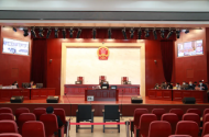 討債手段令人發(fā)指！合肥李某超等12人惡勢力犯罪團伙受審