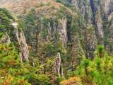 組圖：黃山風景區進入秋色斑斕時間