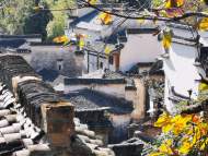 喬延鳳：兩個半邊街