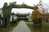凤阳县府城镇：美丽乡村建设为乡村振兴赋能