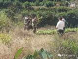 野猪正式调出“三有”名录   专家：不代表可随意捕杀
