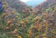 千年滄桑旌歙古道 層林盡染秋意斑斕