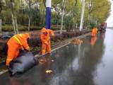 合肥萬名“黃馬甲”一天清掃200余噸落葉  風雨中守護立冬寒潮下的“城市溫度”  