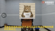 酒后2小時內5次高空拋外賣垃圾  淮南一女子被刑拘