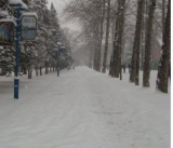 北京：涉疫封控区积雪就地堆放消纳，禁止“出圈” 