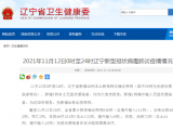 辽宁省新增40例本土新冠肺炎确诊病例