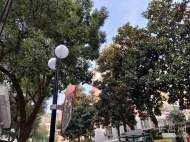 連續報道|六安功成銘居小區破損路燈罩全部更換