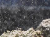 安徽部分地区迎来首场冬雪