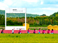 董靜：趕集
