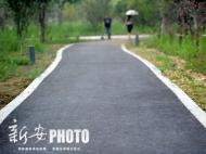 合肥市新命名和調整部分道路 含“芳華路”、“胡小郢巷”等