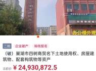 一拍流拍！巢湖“四樹商貿”公司破產 資產將于11月24日打折二拍