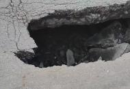 合肥大連路突然塌陷　現場畫面曝光