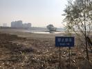 合肥柏堰湖干涸见底? 回应：水库进行除险加固 将水位降至死水位