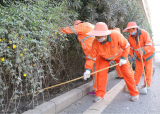 以“绣花之功” 绘“城市之美”  合肥包河城管加强精细化管理 持续提升城市品质