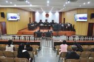 一跑分團伙15人在六安受審   涉洗錢罪、妨害信用卡管理罪
