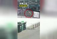 安徽這對男女 偷雞摸狗被抓獲
